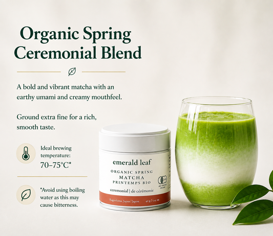 Organic Spring Ceremonial Grade Kagoshima Matcha