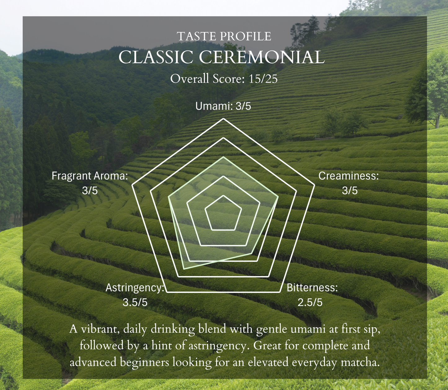 Classic Uji Ceremonial Matcha