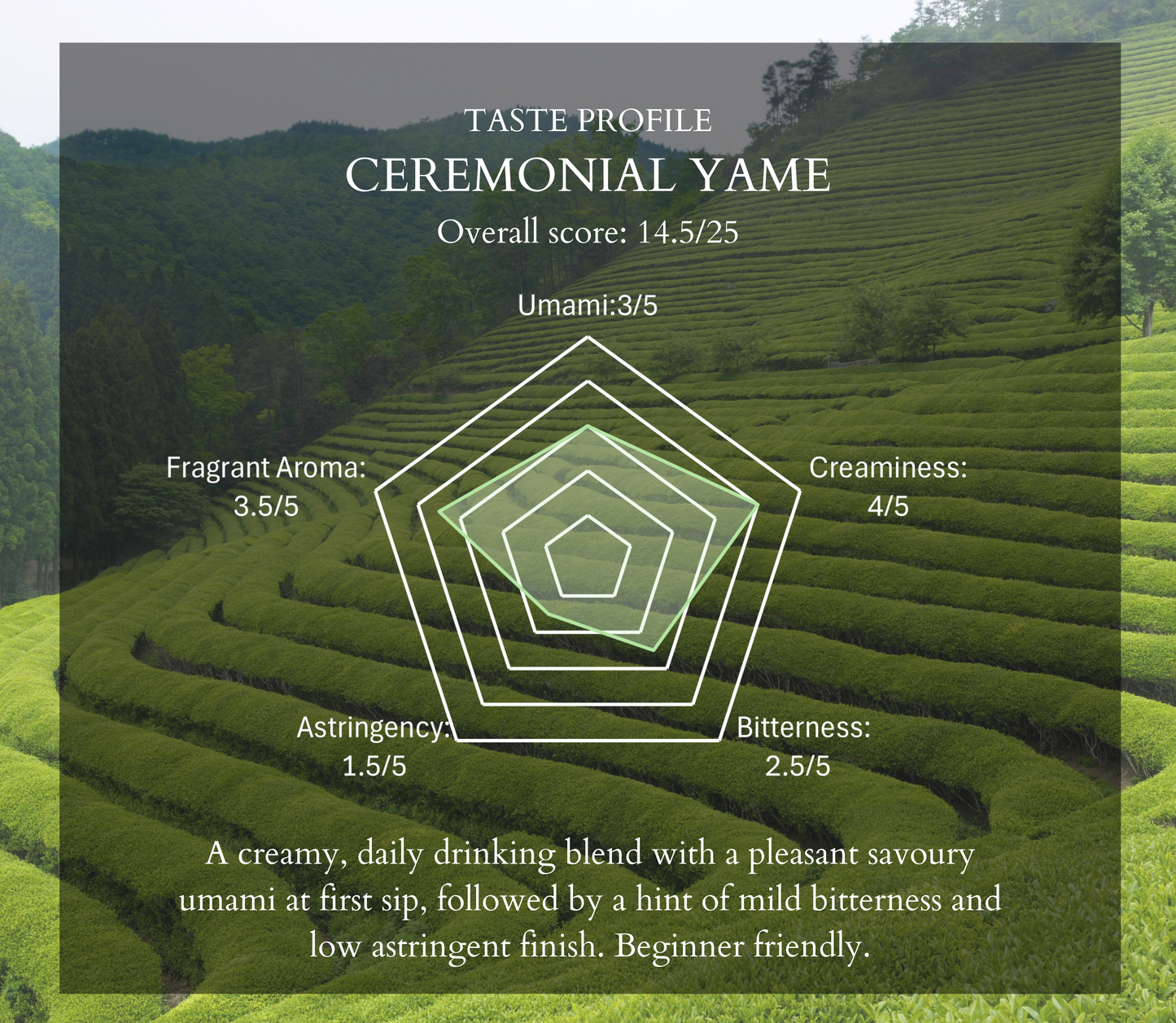 Ceremonial Yame Matcha