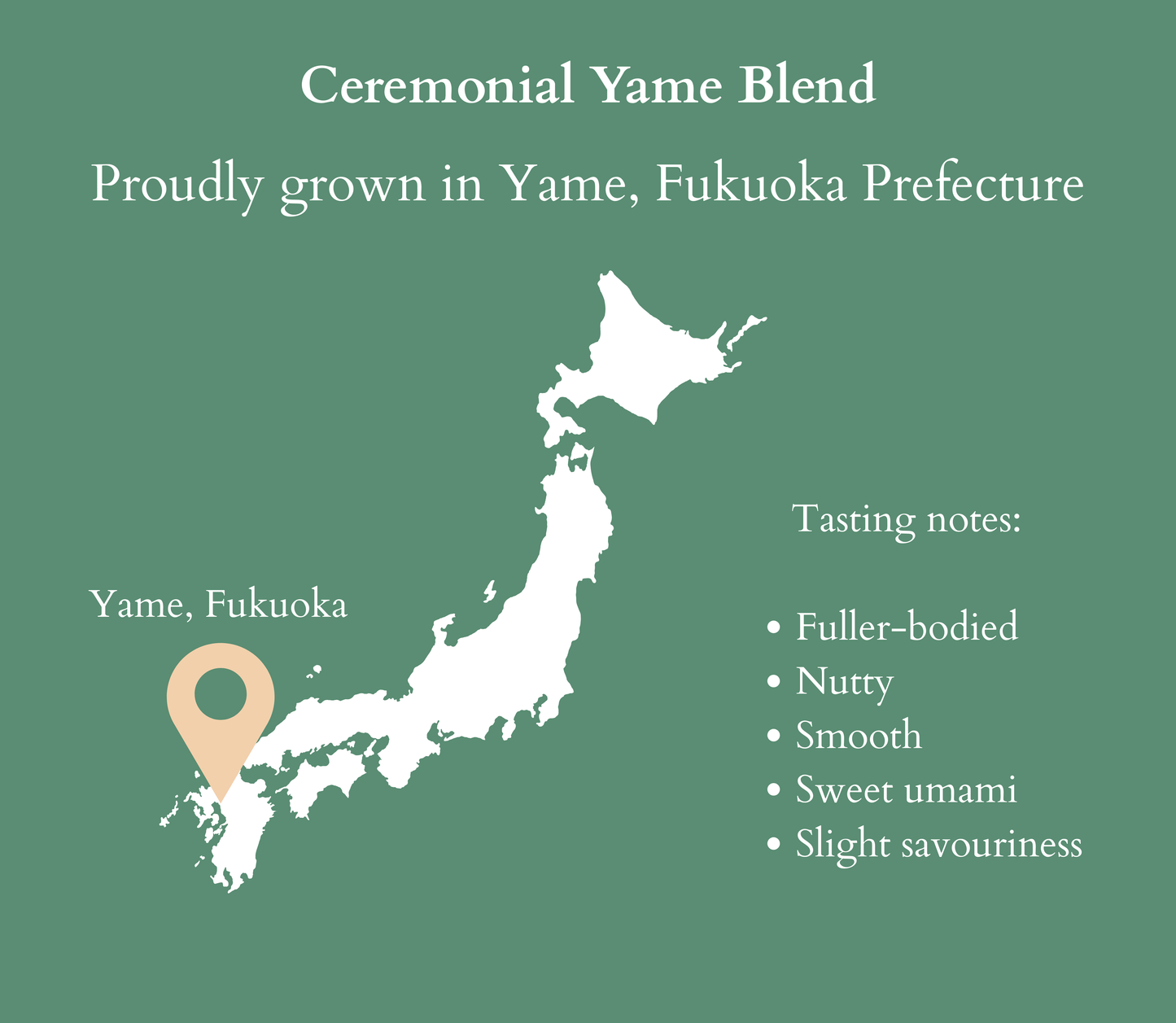Ceremonial Yame Matcha