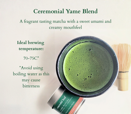 Ceremonial Yame Matcha