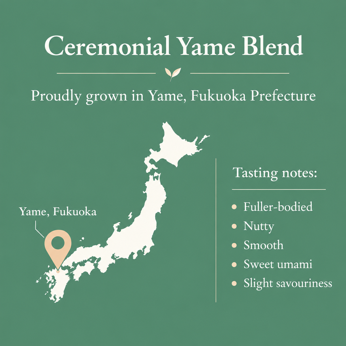 Ceremonial Yame Matcha