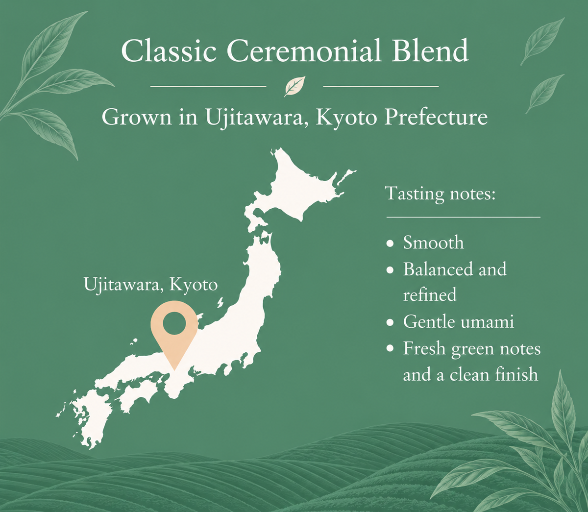 Classic Uji Ceremonial Matcha