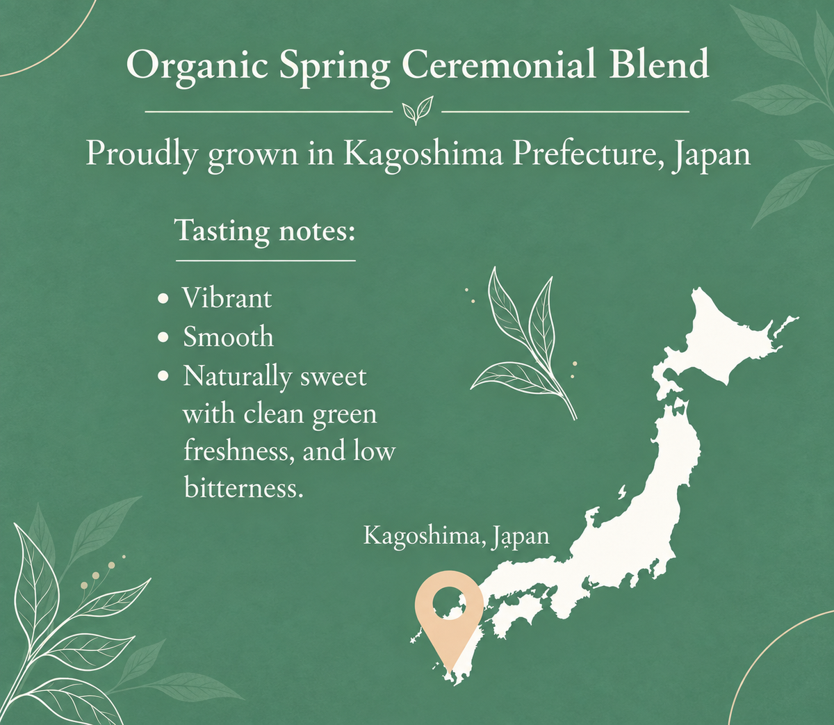 Organic Spring Ceremonial Grade Kagoshima Matcha