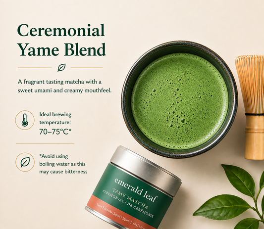 Ceremonial Yame Matcha